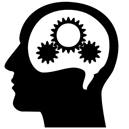 brain works