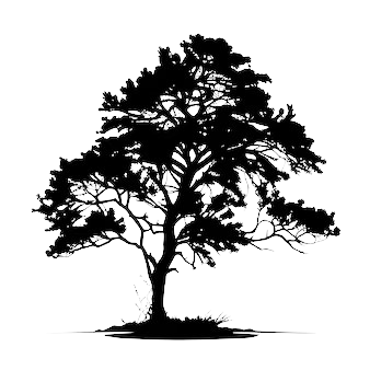 social tree